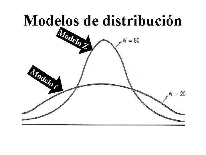 Modelos de distribución Mo del M od elo t o. Z Modelos de distribución Mo del M od elo t o. Z