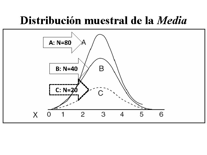 Distribución muestral de la Media A: N=80 B: N=40 C: N=20 Distribución muestral de la Media A: N=80 B: N=40 C: N=20