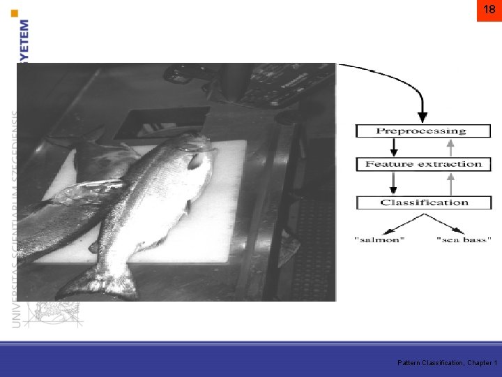 18 Pattern Classification, Chapter 1 