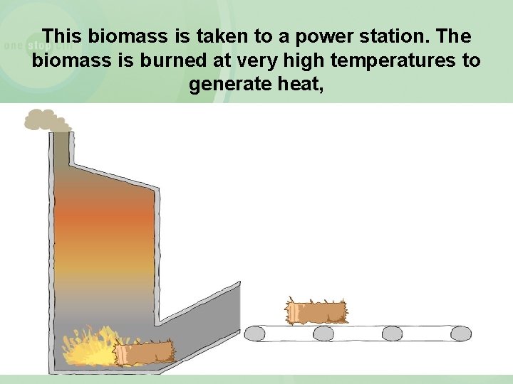 This biomass is taken to a power station. The biomass is burned at very