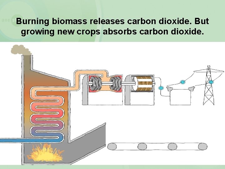 Burning biomass releases carbon dioxide. But growing new crops absorbs carbon dioxide. 