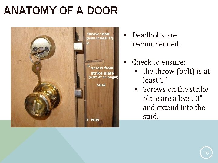 ANATOMY OF A DOOR • Deadbolts are recommended. • Check to ensure: • the