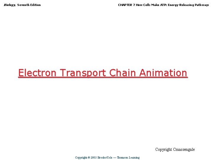 Biology, Seventh Edition CHAPTER 7 How Cells Make ATP: Energy-Releasing Pathways Electron Transport Chain