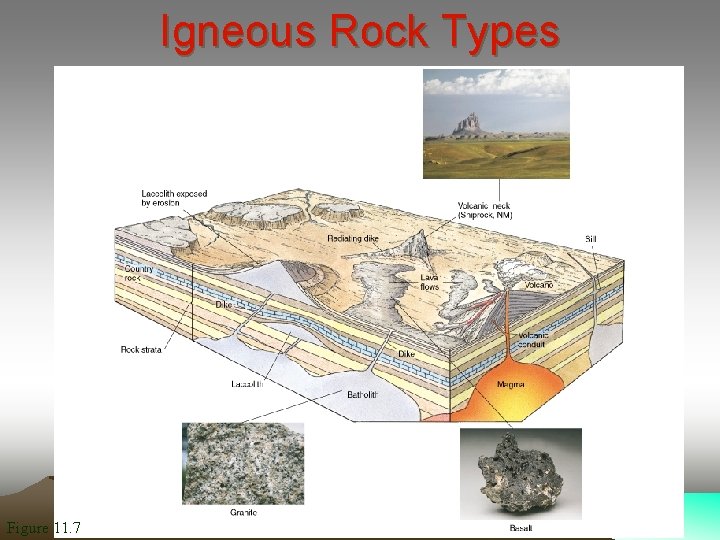 Igneous Rock Types Figure 11. 7 