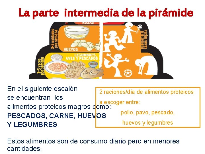 La parte intermedia de la pirámide En el siguiente escalón 2 raciones/día de alimentos