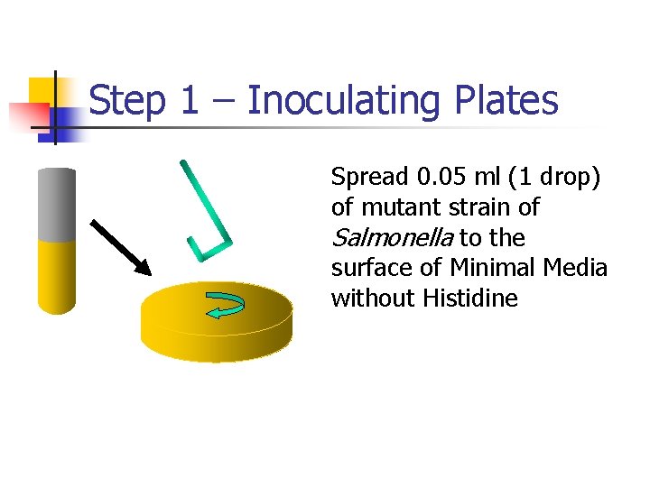 Step 1 – Inoculating Plates Spread 0. 05 ml (1 drop) of mutant strain
