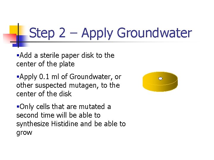 Step 2 – Apply Groundwater §Add a sterile paper disk to the center of