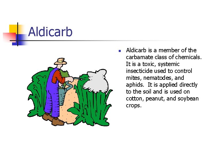 Aldicarb n Aldicarb is a member of the carbamate class of chemicals. It is