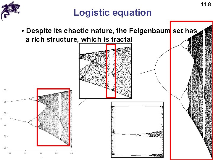 Logistic equation • Despite its chaotic nature, the Feigenbaum set has a rich structure,