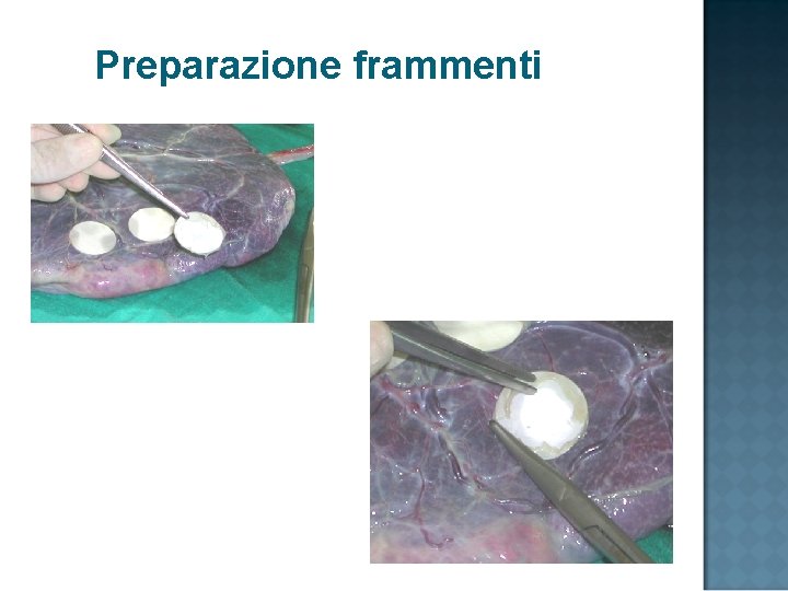Preparazione frammenti 