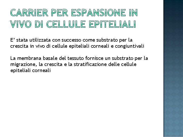 E’ stata utilizzata con successo come substrato per la crescita in vivo di cellule