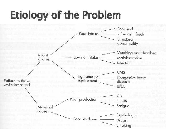 Etiology of the Problem 