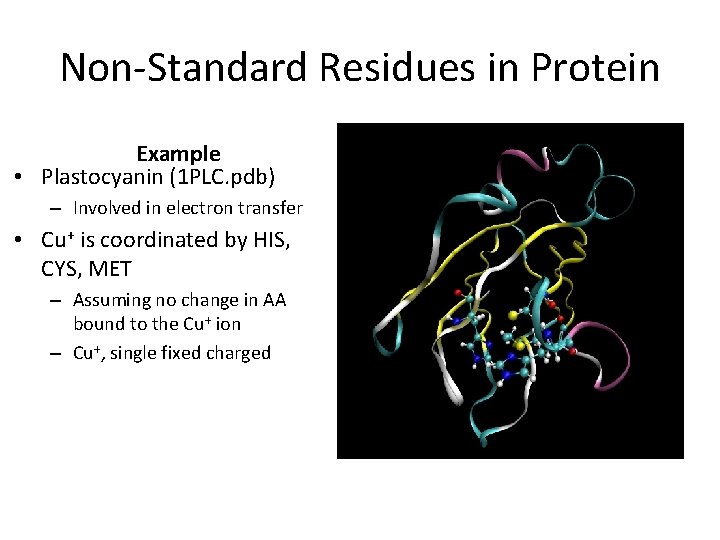 Non-Standard Residues in Protein Example • Plastocyanin (1 PLC. pdb) – Involved in electron