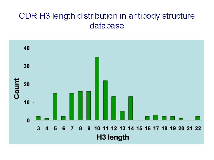 CDR H 3 length distribution in antibody structure database 