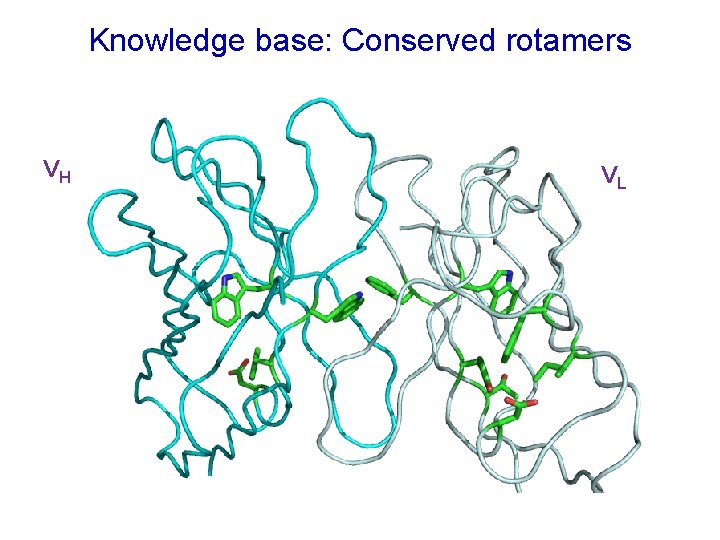 Knowledge base: Conserved rotamers VH VL 
