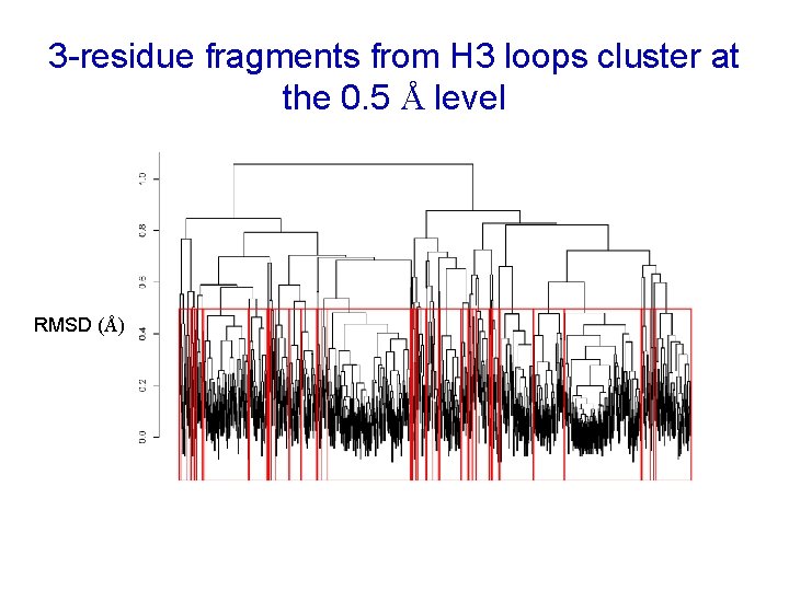 3 -residue fragments from H 3 loops cluster at the 0. 5 Å level