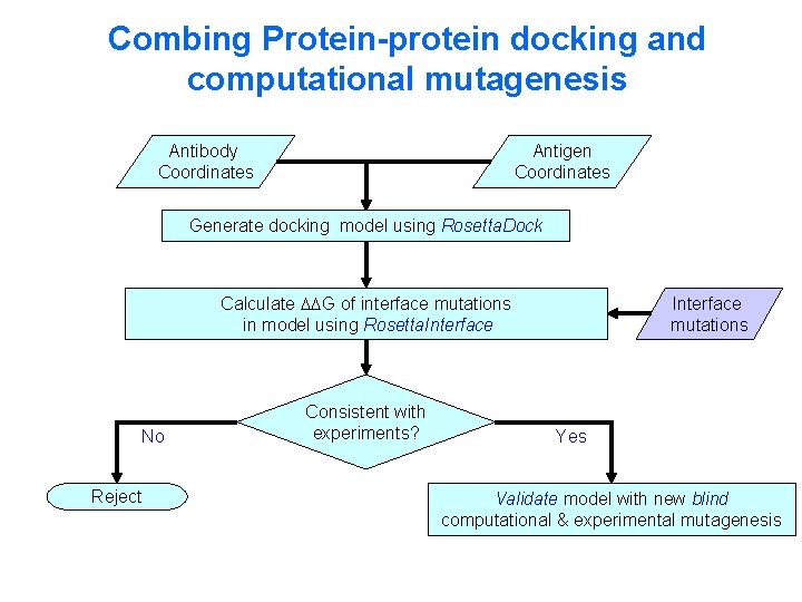 Combing Protein-protein docking and computational mutagenesis Antibody Coordinates Antigen Coordinates Generate docking model using