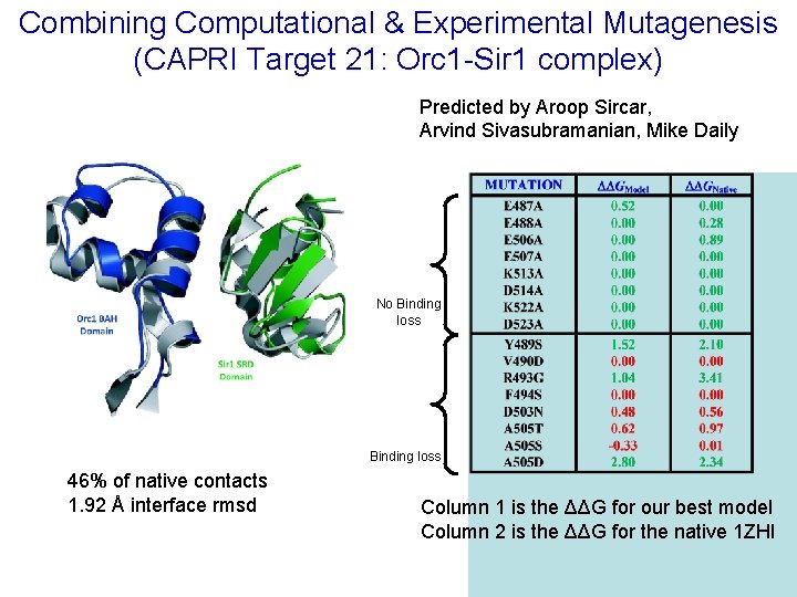 Combining Computational & Experimental Mutagenesis (CAPRI Target 21: Orc 1 -Sir 1 complex) Predicted