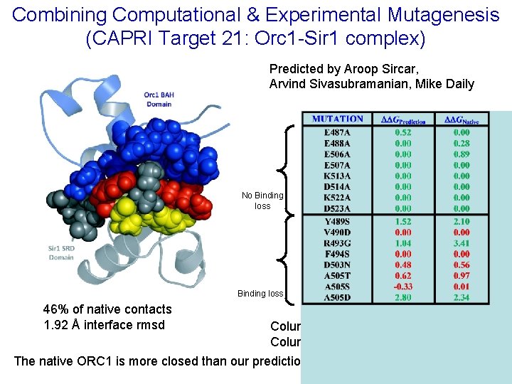Combining Computational & Experimental Mutagenesis (CAPRI Target 21: Orc 1 -Sir 1 complex) Predicted