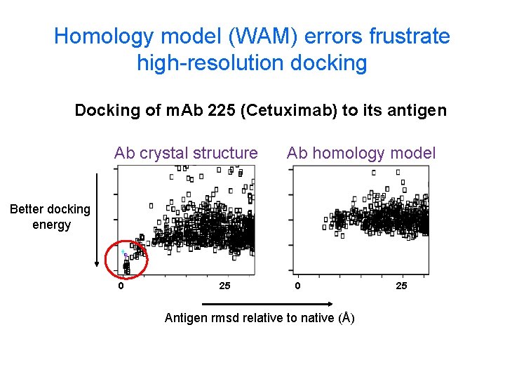 Homology model (WAM) errors frustrate high-resolution docking Docking of m. Ab 225 (Cetuximab) to