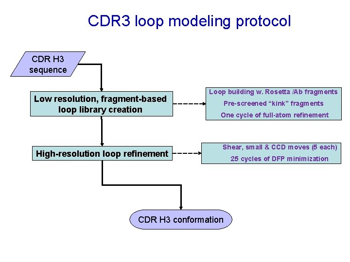 CDR 3 loop modeling protocol CDR H 3 sequence Low resolution, fragment-based loop library