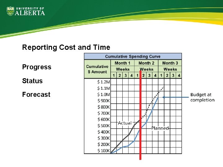 Reporting Cost and Time Progress Status Forecast 
