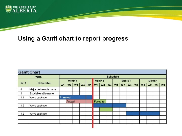 Using a Gantt chart to report progress 