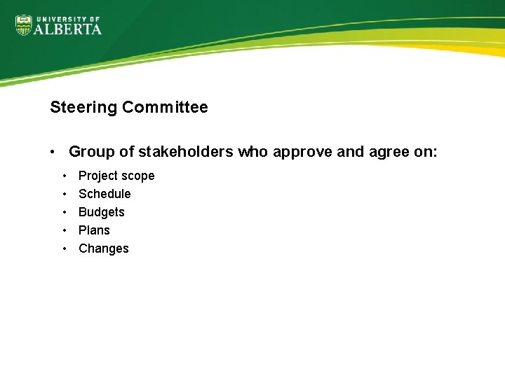Steering Committee • Group of stakeholders who approve and agree on: • • •