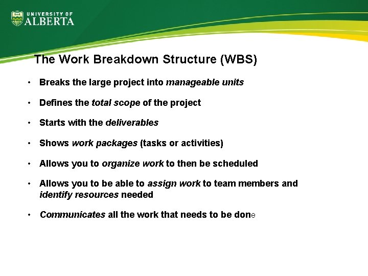 The Work Breakdown Structure (WBS) • Breaks the large project into manageable units •