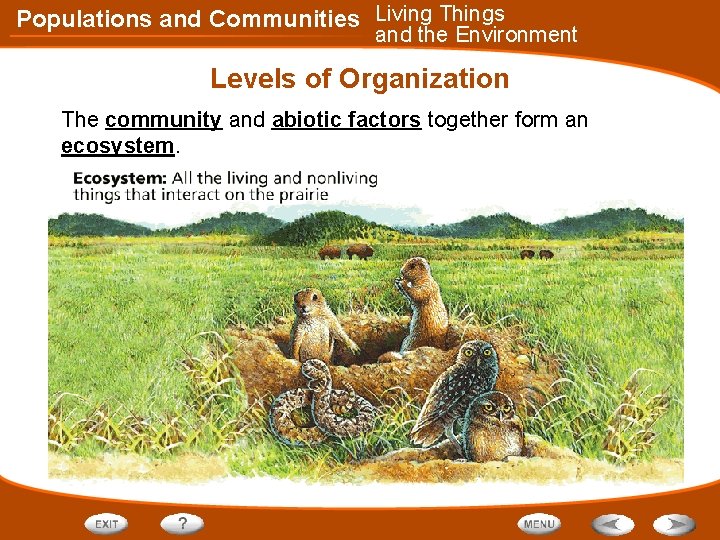 Populations and Communities Living Things and the Environment Levels of Organization The community and