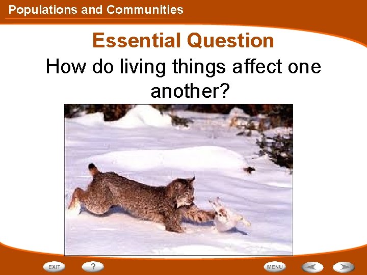 Populations and Communities Essential Question How do living things affect one another? 