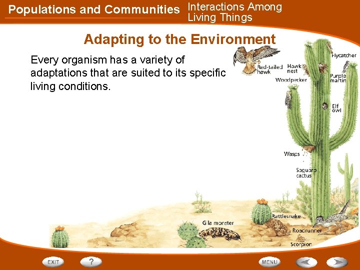 Populations and Communities Interactions Among Living Things Adapting to the Environment Every organism has