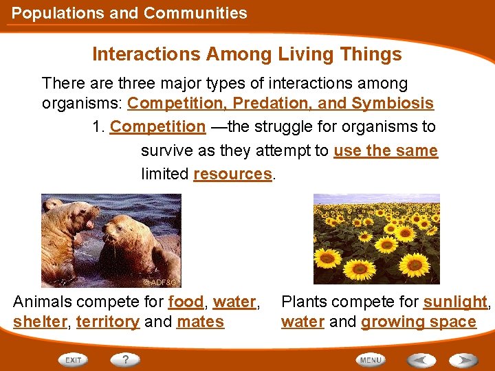 Populations and Communities Interactions Among Living Things There are three major types of interactions