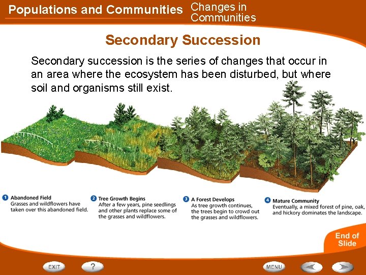 Populations and Communities Changes in Communities Secondary Succession Secondary succession is the series of