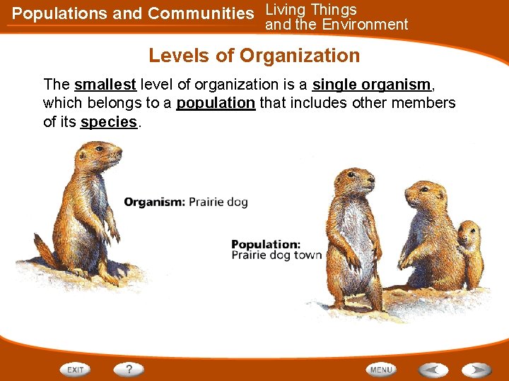 Populations and Communities Living Things and the Environment Levels of Organization The smallest level