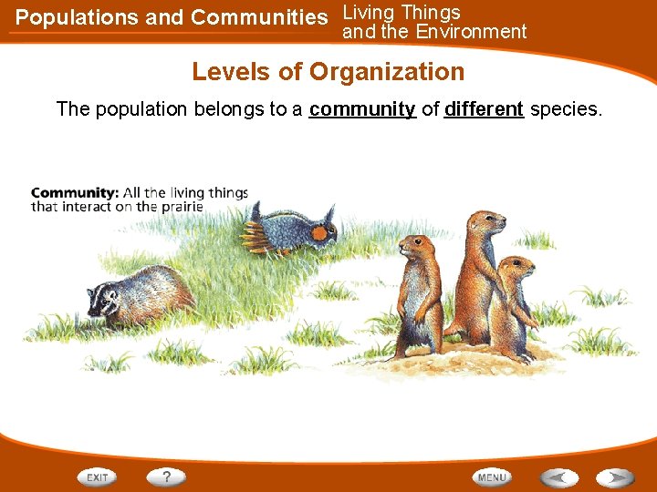Populations and Communities Living Things and the Environment Levels of Organization The population belongs