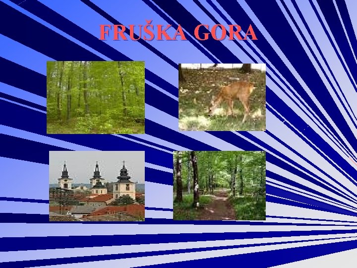 FRUŠKA GORA 