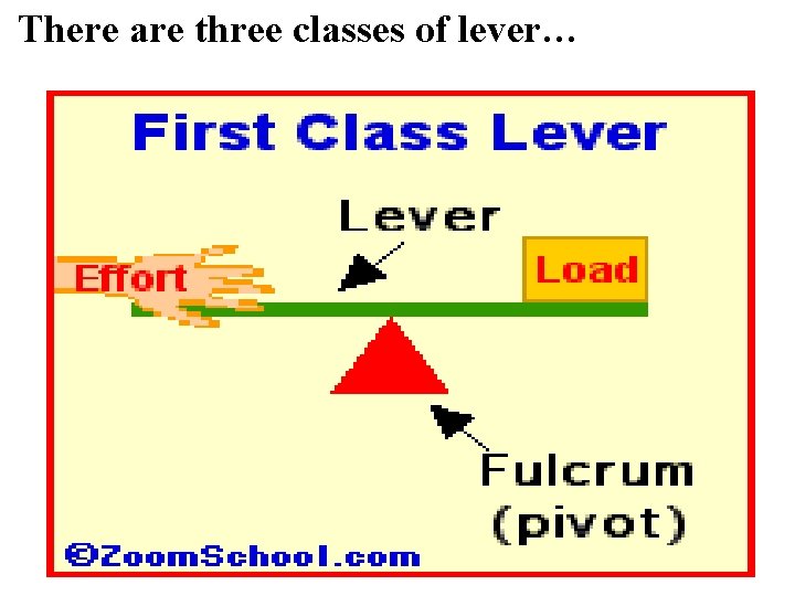 There are three classes of lever… 