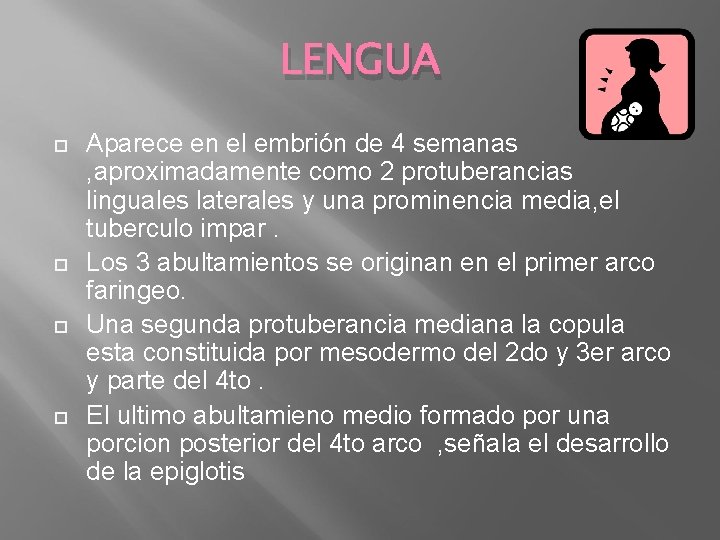 LENGUA Aparece en el embrión de 4 semanas , aproximadamente como 2 protuberancias linguales