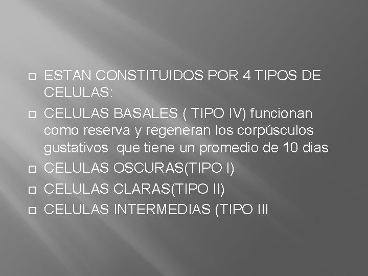  ESTAN CONSTITUIDOS POR 4 TIPOS DE CELULAS: CELULAS BASALES ( TIPO IV) funcionan