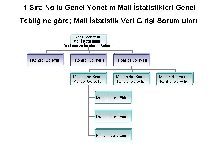 1 Sıra No’lu Genel Yönetim Mali İstatistikleri Genel Tebliğine göre; Mali İstatistik Veri Girişi