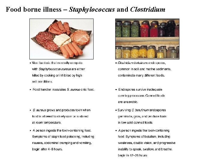 Food borne illness – Staphylococcus and Clostridium 