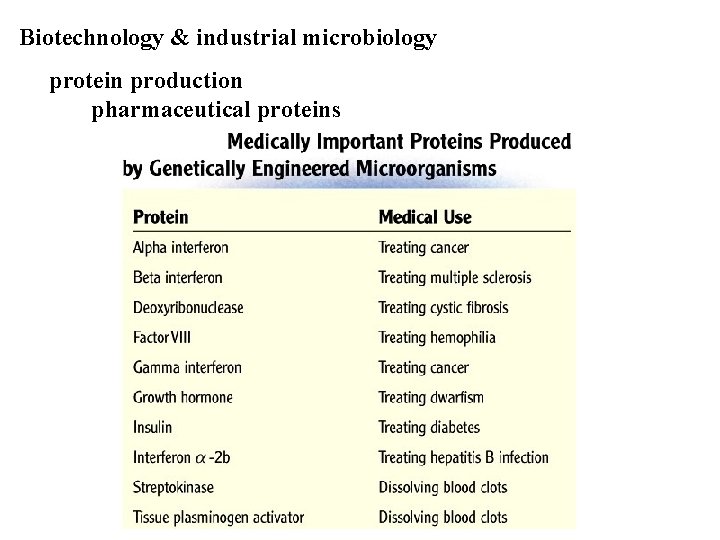 Biotechnology & industrial microbiology protein production pharmaceutical proteins 