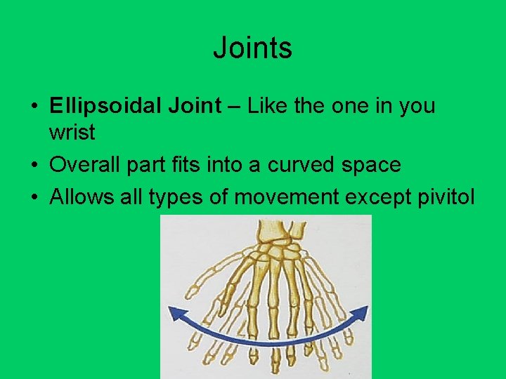 Joints • Ellipsoidal Joint – Like the one in you wrist • Overall part