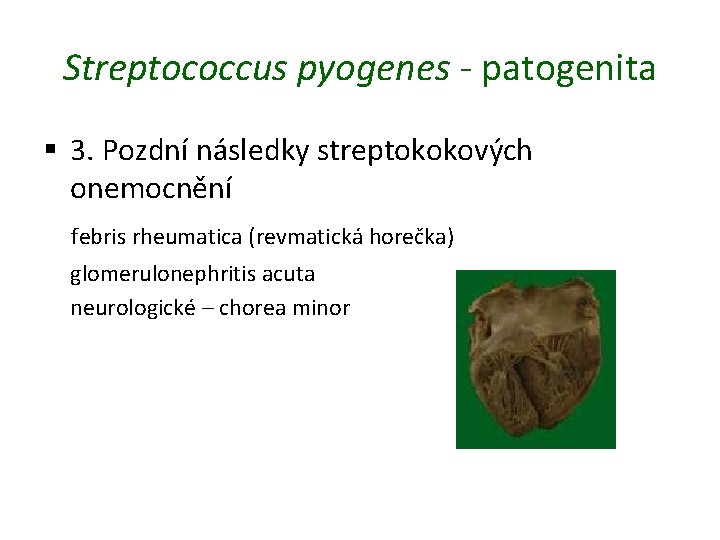 Streptococcus pyogenes - patogenita § 3. Pozdní následky streptokokových onemocnění febris rheumatica (revmatická horečka)