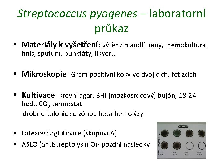 Streptococcus pyogenes – laboratorní průkaz § Materiály k vyšetření: výtěr z mandlí, rány, hemokultura,
