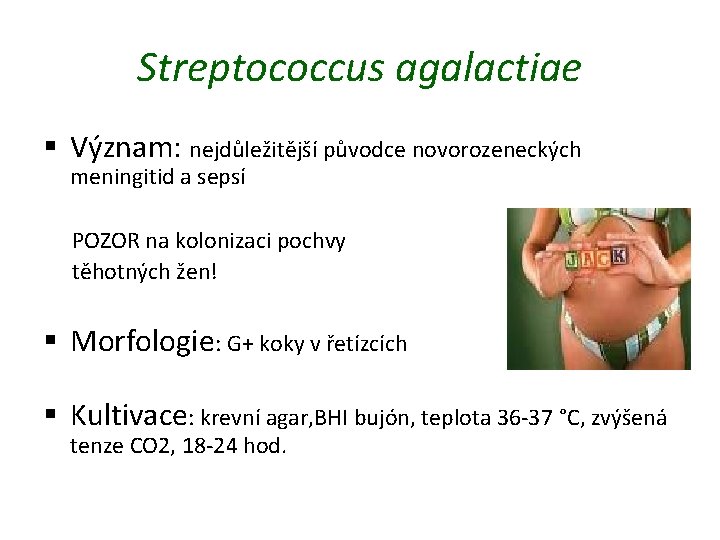 Streptococcus agalactiae § Význam: nejdůležitější původce novorozeneckých meningitid a sepsí POZOR na kolonizaci pochvy