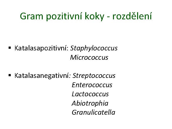 Gram pozitivní koky - rozdělení § Katalasapozitivní: Staphylococcus Micrococcus § Katalasanegativní: Streptococcus Enterococcus Lactococcus