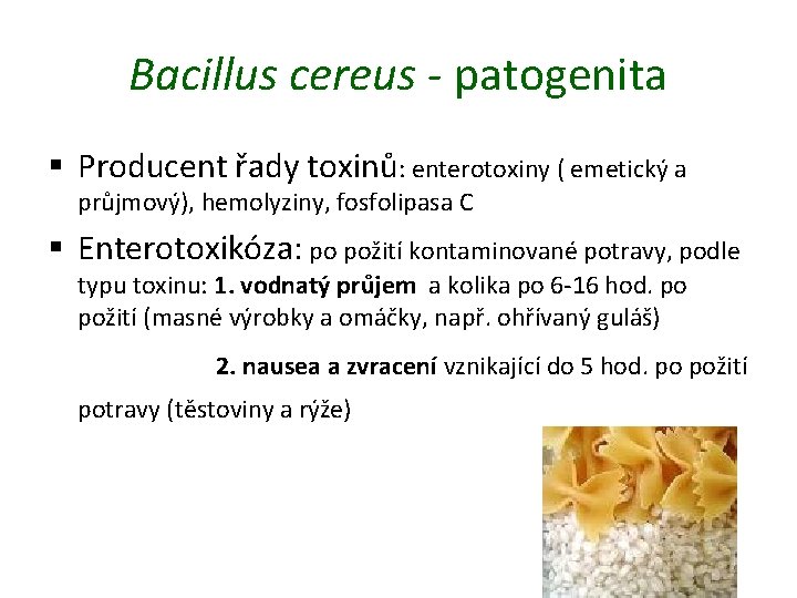 Bacillus cereus - patogenita § Producent řady toxinů: enterotoxiny ( emetický a průjmový), hemolyziny,