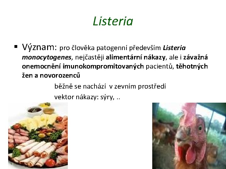 Listeria § Význam: pro člověka patogenní především Listeria monocytogenes, nejčastěji alimentární nákazy, ale i